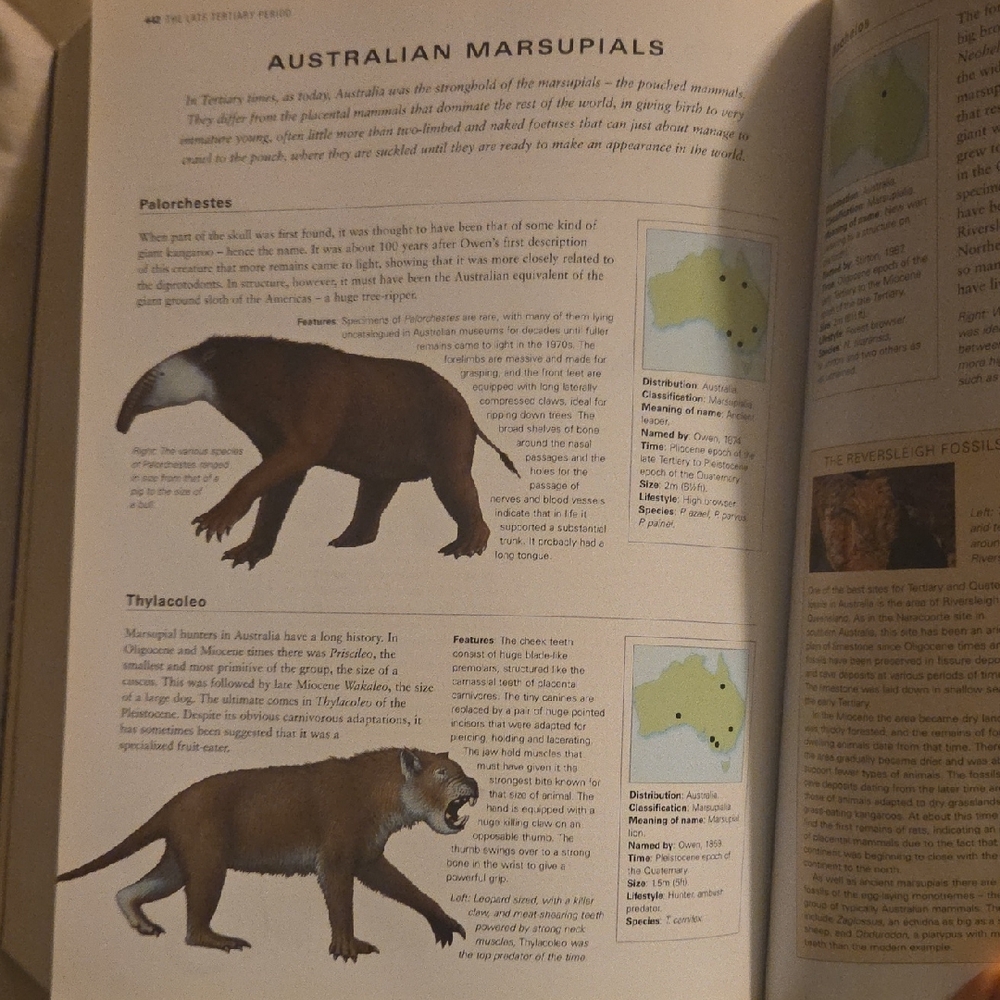 The World Encyclopedia of Dinosaurs & Prehistoric Creatures Book - Picture 12 of 16